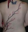 cherry blossom branch and butterfly tats